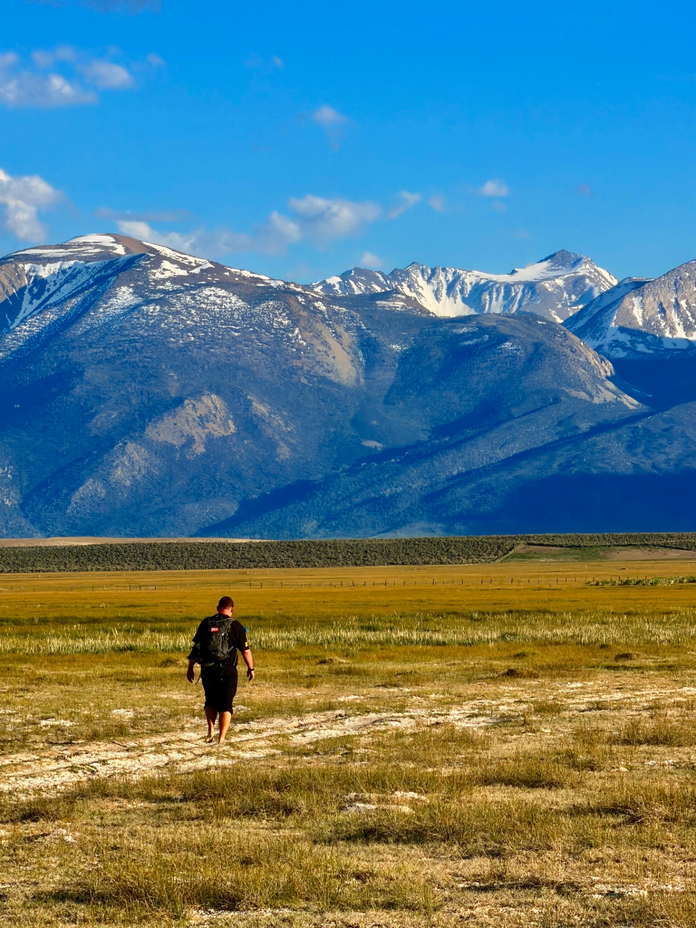 A man walking across an Eastern Sierra meadow toward snow-capped peaks