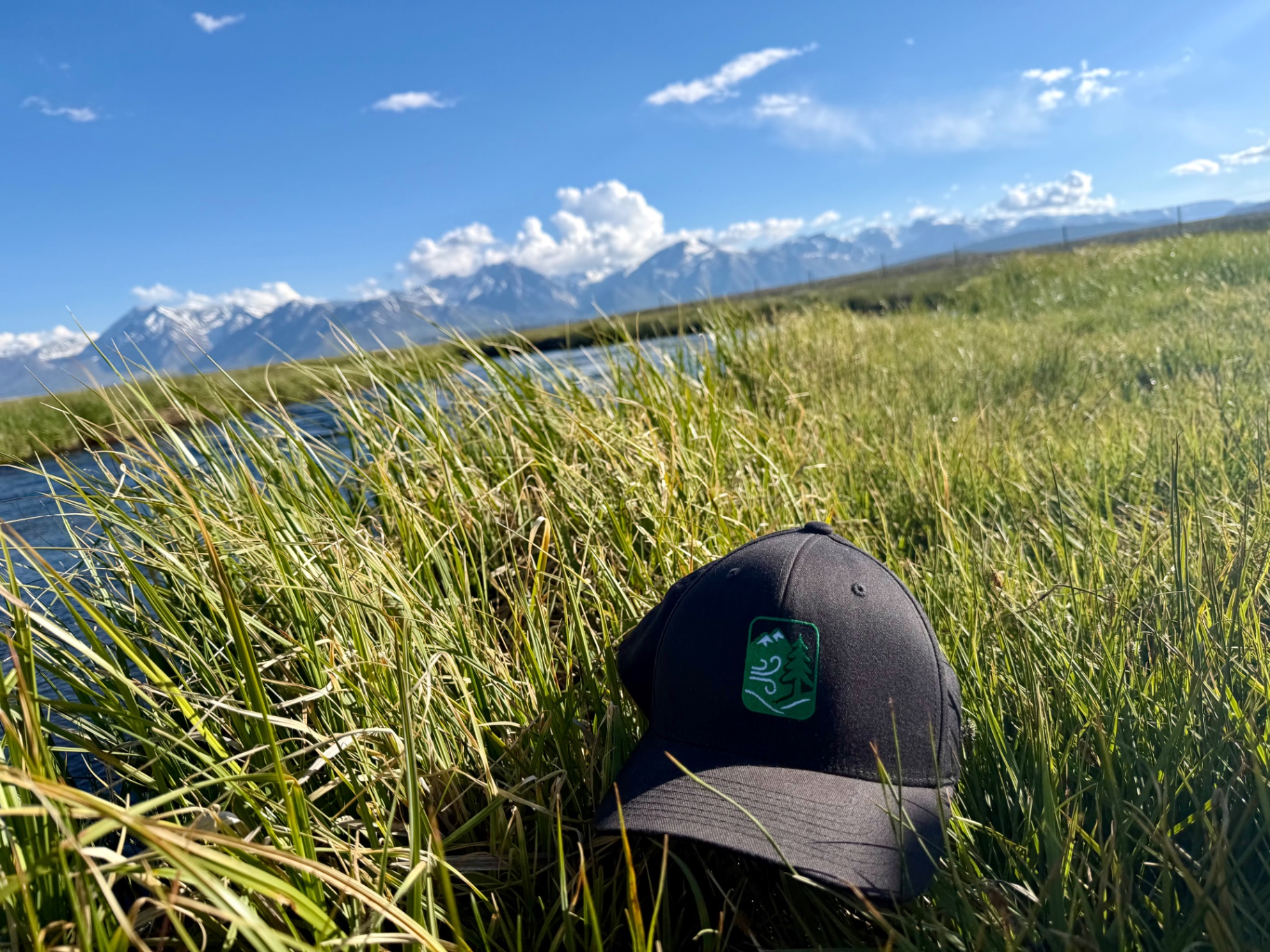 Wild Breath cap resting in tall grass beside an Eastern Sierra stream with snow-capped peaks beyond
